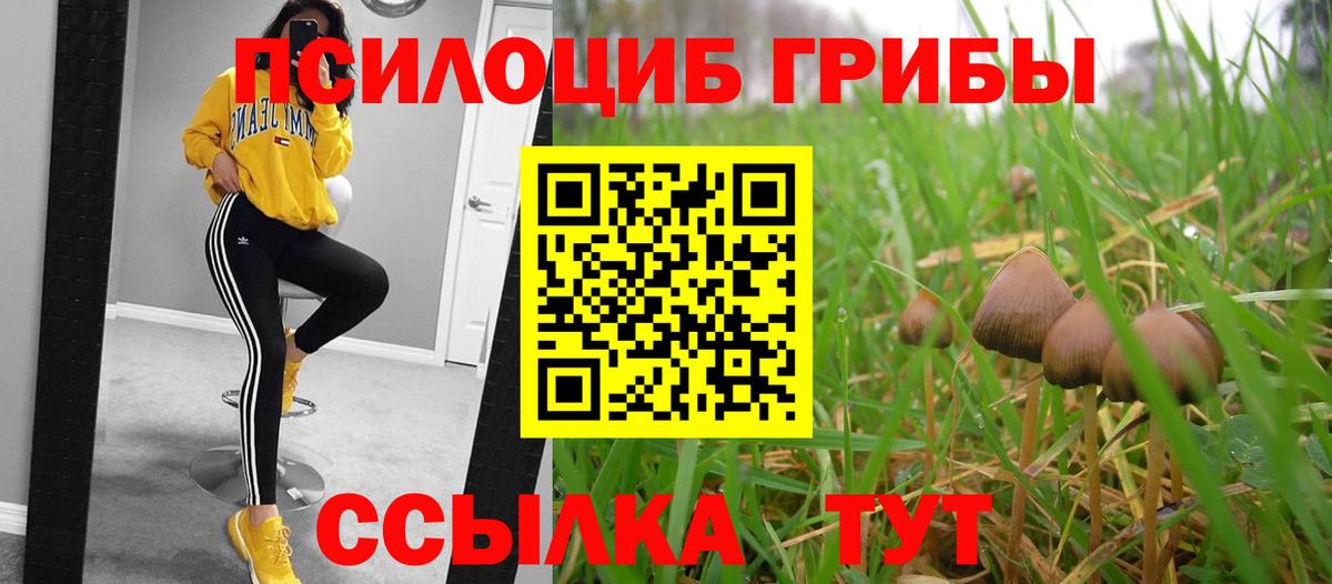 Сертолово  Псилоцибиновые грибы прущие грибы  Вход с VPN  Галлюциногенные грибы GOLDEN TEACHER 